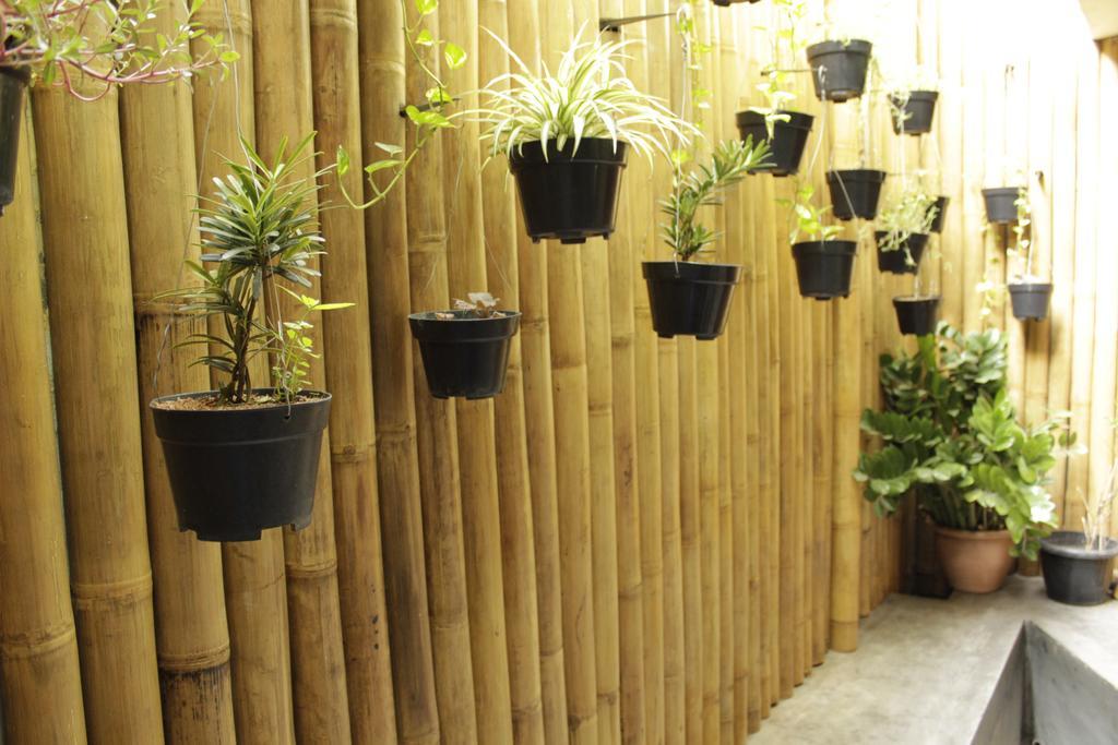 Teduh Hostel Kota Tua Jakarta Exteriör bild